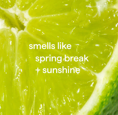 dish soap - lime + sea salt, 18 fl oz