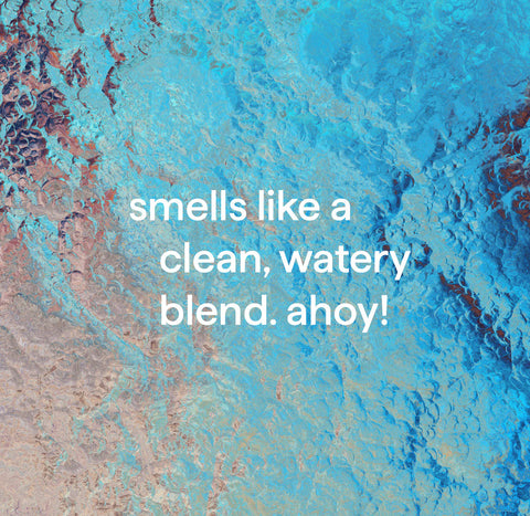 foaming hand wash - sea minerals, 10 fl oz